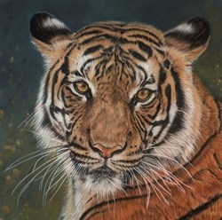 Look but Don't Touch by Valerie Simms - Original Drawing on Mounted Paper sized 19x20 inches. Available from Whitewall Galleries